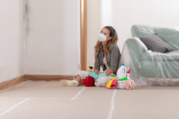 Reliable Mold Remediation contractor in Fort Knox, KY by WQB Mold Removal